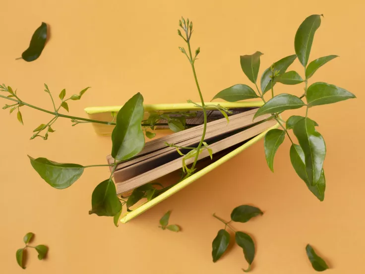 Τι σημαίνει η λέξη «γλυφός»