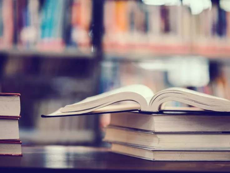 Τι σημαίνει η λέξη «αμύντορας»