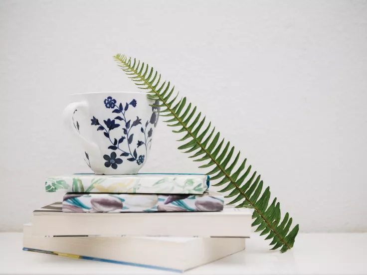 Τι σημαίνει η λέξη «ζουλάπι»