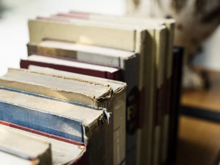 Τι σημαίνει η λέξη «μποναμάς»