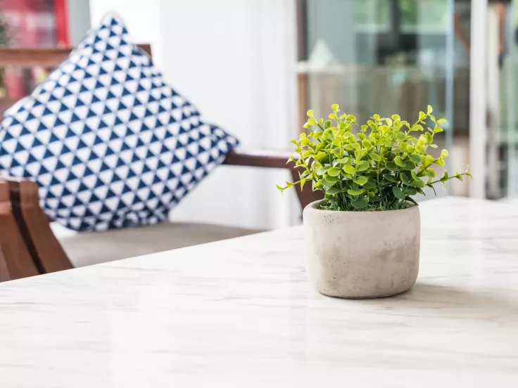 Τα αντικείμενα του σπιτιού που ξεχνάμε να καθαρίσουμε – Και όμως είναι τα πιο βρόμικα