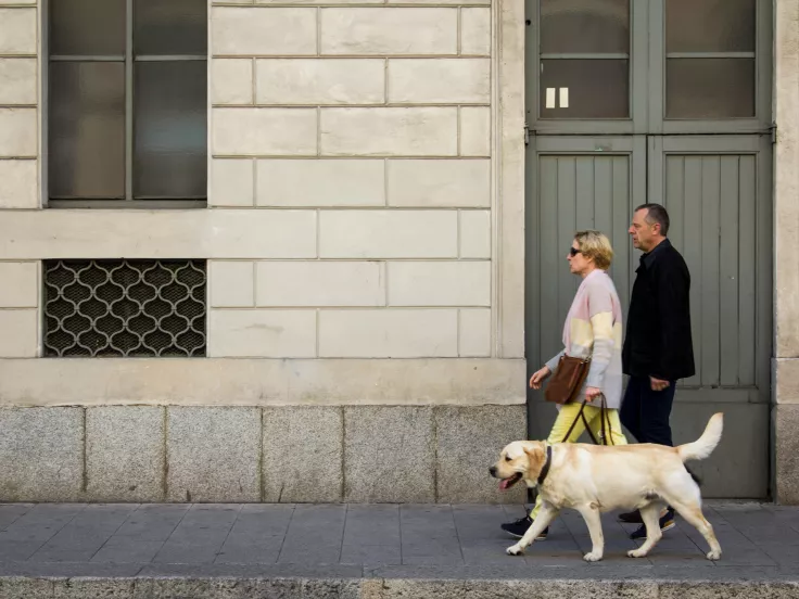 συνταξιούχοι
