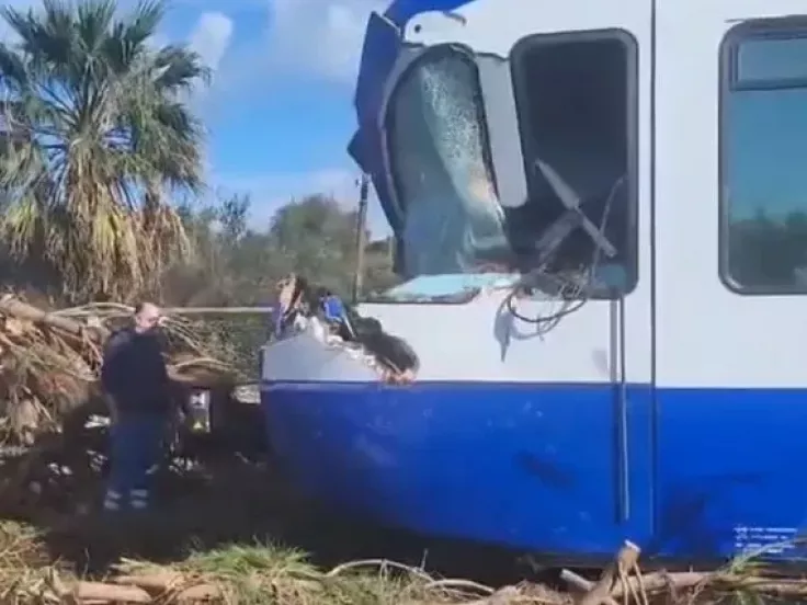 Πεύκο κατέρρευσε πάνω σε τρένο εν κινήσει – Συγκλονίζει ο μηχανοδηγός