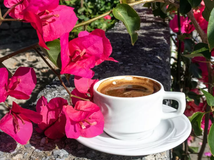 Ελληνικός καφές