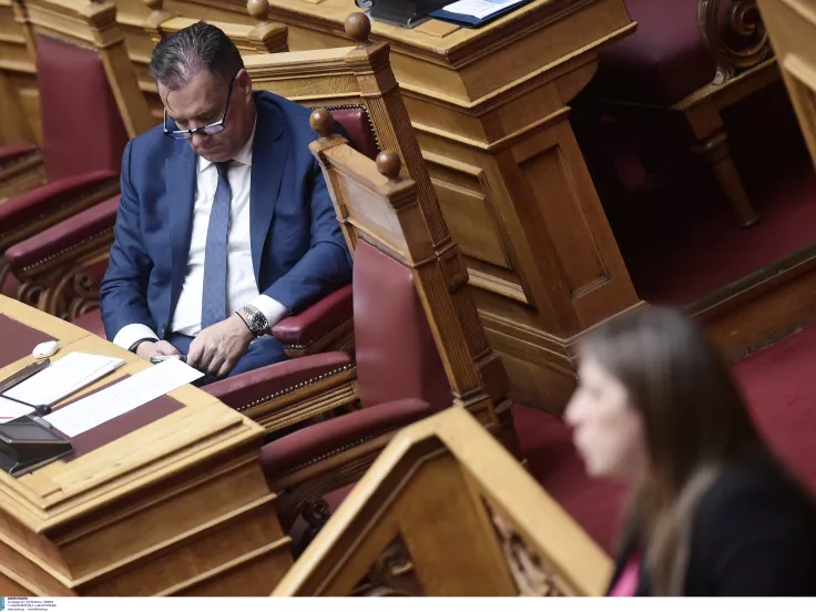 Άδωνις Γεωργιάδης Ζωή Κωνσταντοπούλου