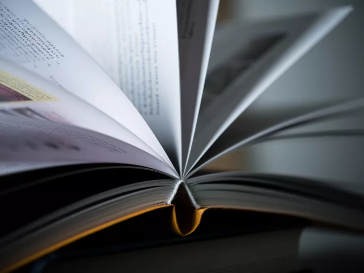 Μπαμπινιώτης: Καταρχήν ή καταρχάς; - Λάθη που κάνουμε όλοι όταν μιλάμε την ελληνική