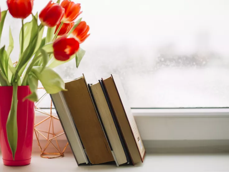 Τι σημαίνει η λέξη «μαλαγάνα»