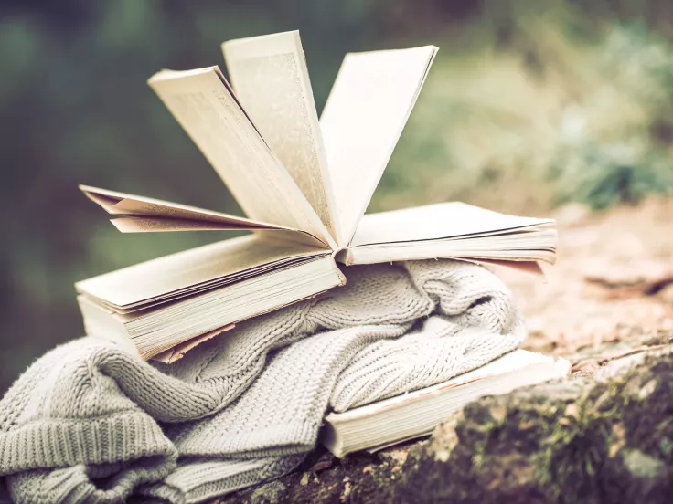 Τι σημαίνει η λέξη «ληρώδης»