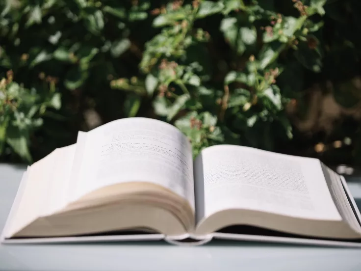 Τι σημαίνει η λέξη «κουτρούλης»