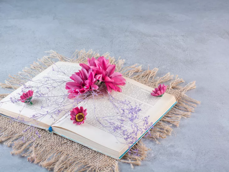 Τι σημαίνει η λέξη «διχοστασία»