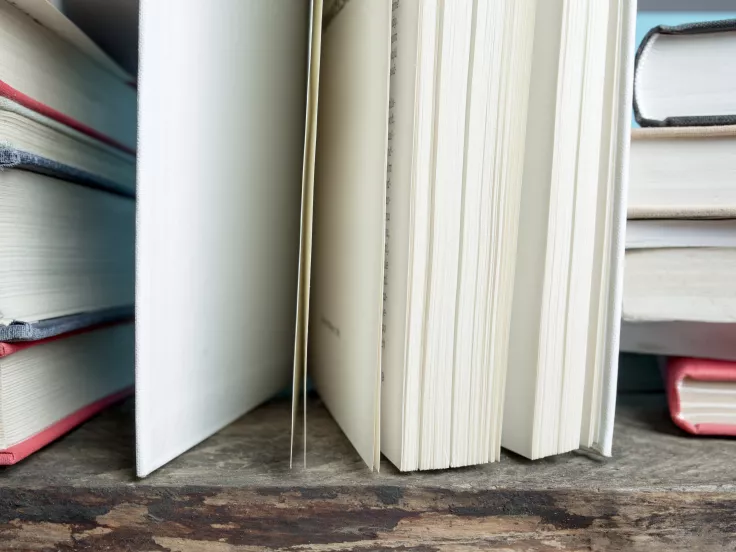 Τι σημαίνει η λέξη «ξεπέζεμα»