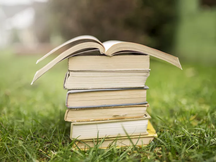 Τι σημαίνει η λέξη «καταβοή»