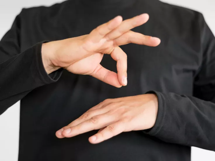  Νοηματική Γλώσσα