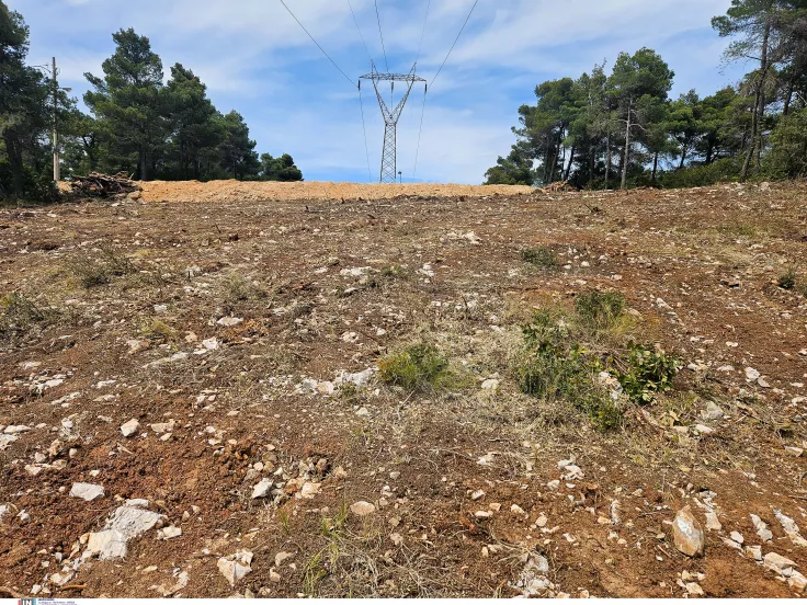 Νέο νομοσχέδιο για τον καθαρισμό οικοπέδων: Νέα προθεσμία και πρόστιμο έως 2.000 ευρώ