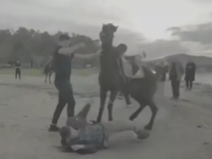 Άκης Πετρετζίκης: Ατύχημα σε τηλεοπτικό γύρισμα – Ράγισε το πλευρό του (βίντεο)