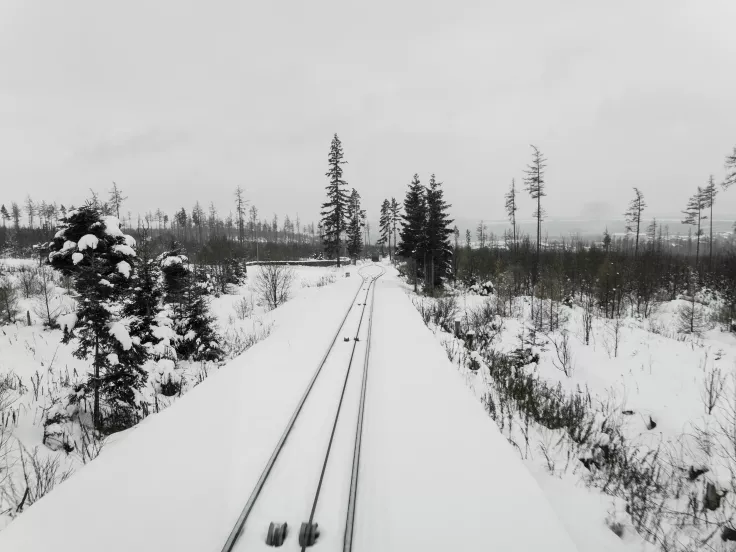 Ελβετία: Εκτροχιάστηκε τρένο λόγω χιονοστιβάδας – Πληροφορίες για τραυματίες