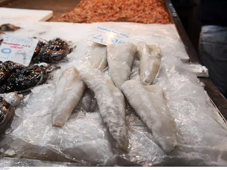 μπακαλιάρος