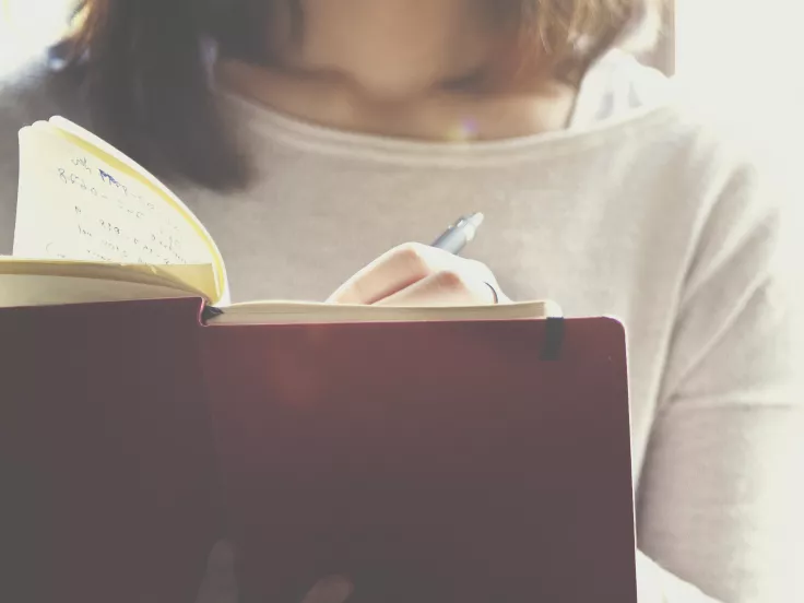 Τι σημαίνει η λέξη «πρηνηδόν»