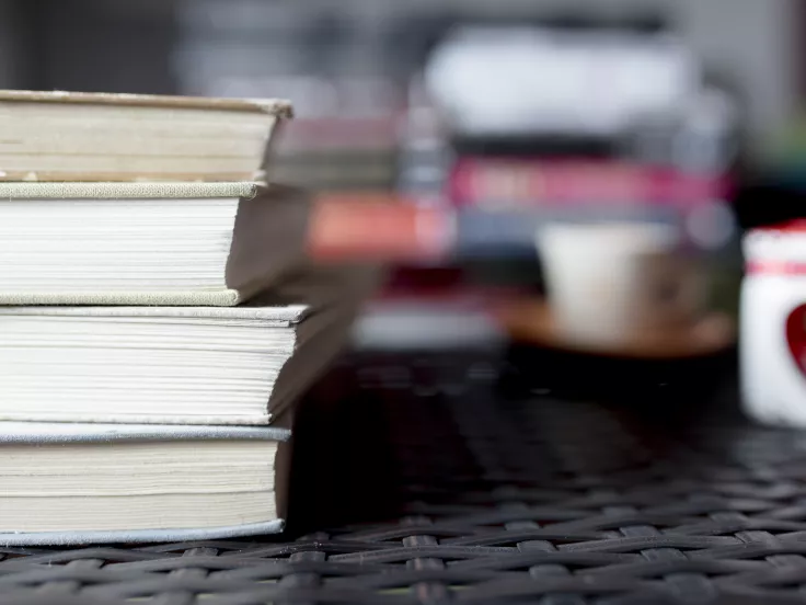 Τι σημαίνει η λέξη «ραγιάδικος»