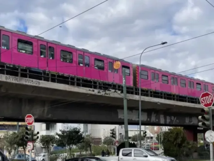 Ηλεκτρικό ροζ βαγόνια