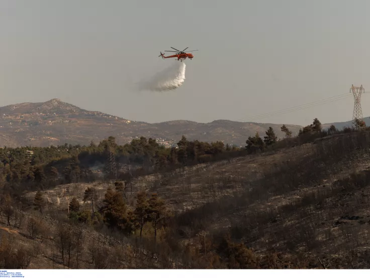 Φωτιές σε όλη τη χώρα: 52 περιστατικά μέσα σε δύο ημέρες