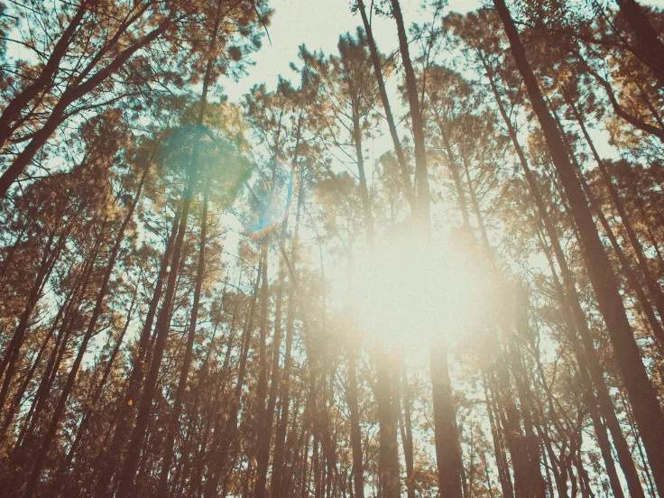 Φύση και καιρός