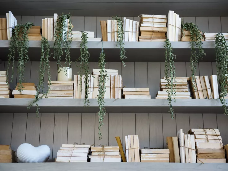 Τι σημαίνει η λέξη «οθνείος»