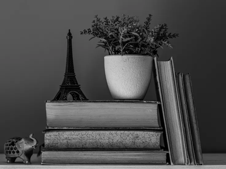 Τι σημαίνει η λέξη «ξαρμάτωτος»