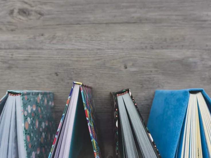 Τι σημαίνει η λέξη «ευχείρωτος»