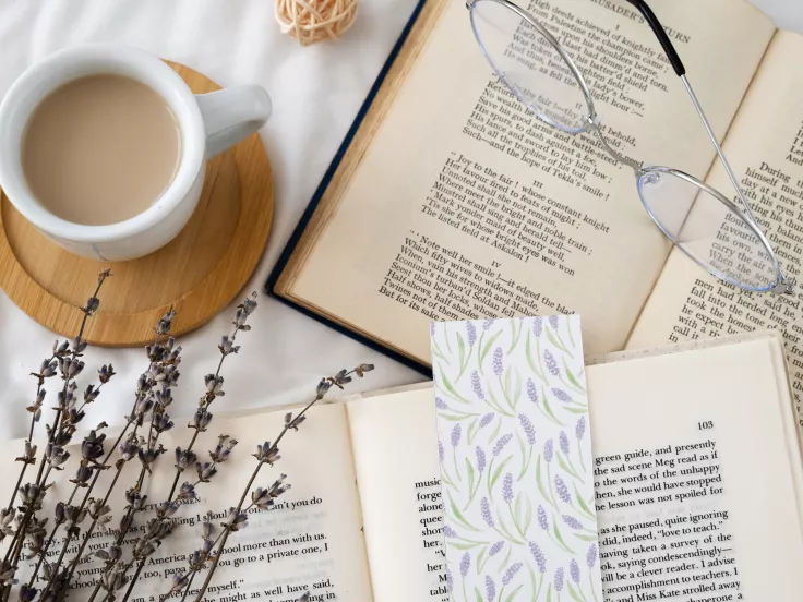 Τι σημαίνει η λέξη «δύστηνος»