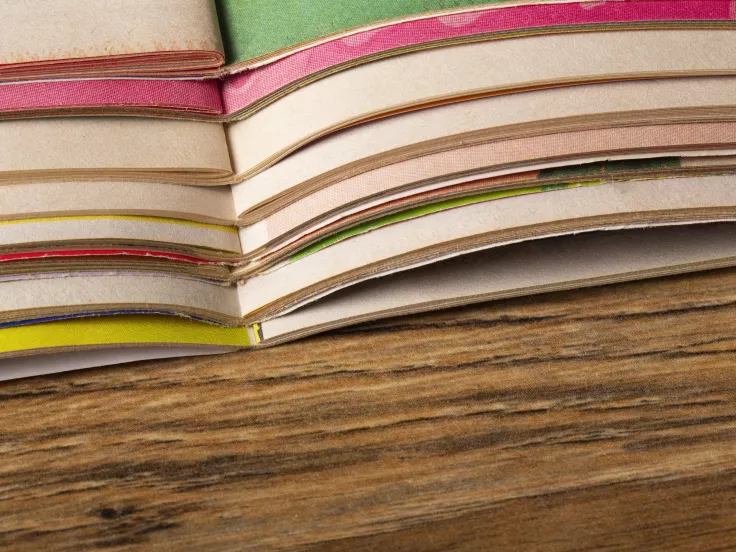 Τι σημαίνει η λέξη «ζοχάδα»