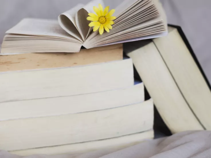 Τι σημαίνει η λέξη  «μίσχος»