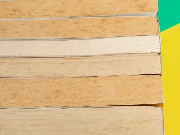 Τι σημαίνει η λέξη «αβέρτα»