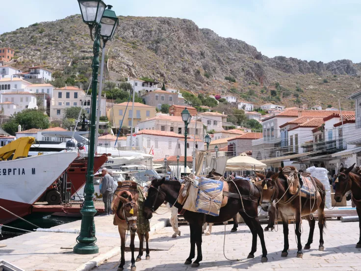 Θέσεις εργασίας στην Ύδρα