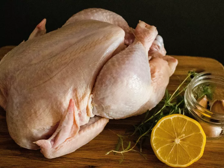 Κοτόπουλα - Chicken 