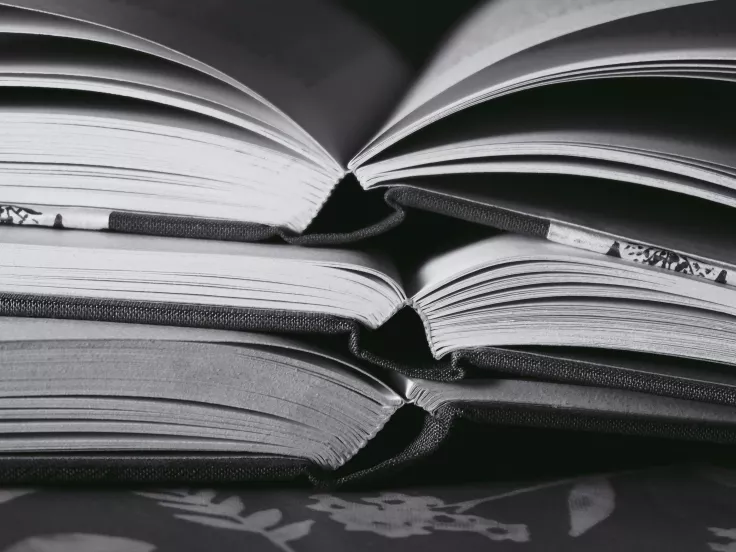 Τι σημαίνει η λέξη «θηλυτοκία»