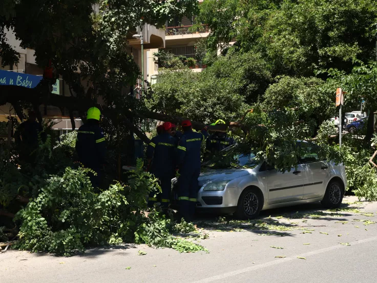 Ισχυροί άνεμοι στην Αττική: Δέντρο έπεσε πάνω σε διερχόμενο αμάξι και εγκλώβισε την οδηγό