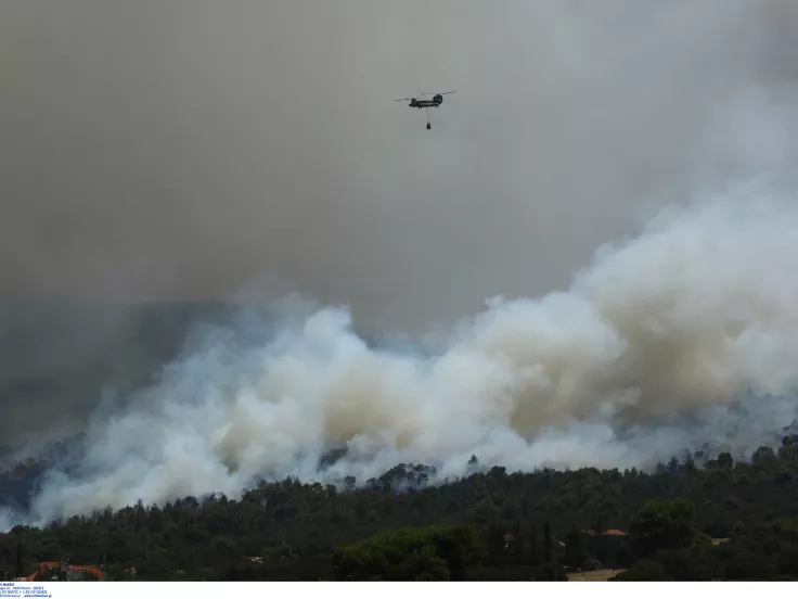 Φωτιά τώρα στη Λούτσα Εύβοιας - Επιχειρούν πέντε εναέρια μέσα