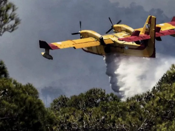 Φωτιά στα Βίλια: Ισχυρές δυνάμεις της Πυροσβεστικής στη μάχη με τις φλόγες