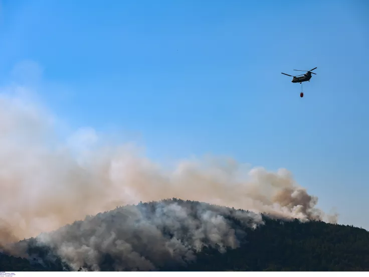 Φωτιά τώρα στα Βασιλικά Θεσσαλονίκης: Κοντά σε σπίτια οι φλόγες – Ήχησε το 112