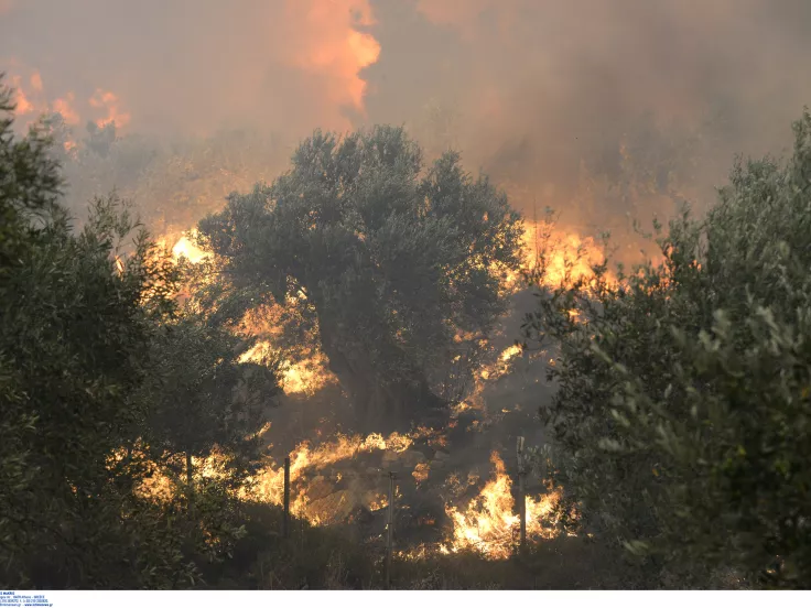 Πολύ υψηλός κίνδυνος πυρκαγιάς αύριο σε δύο Περιφέρειες (χάρτης)