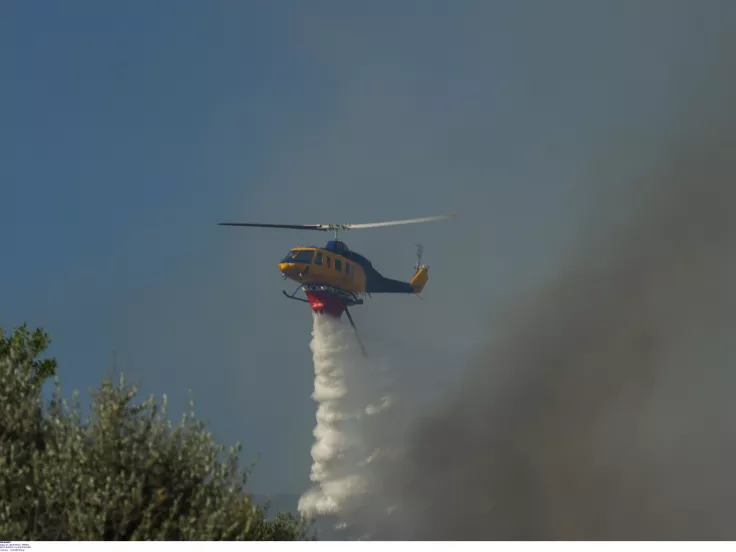 Φωτιά στη Βοιωτία: Τεράστια η καταστροφή - Εκτιμάται ότι εχουν κάει 50.000 στρέμματα γης