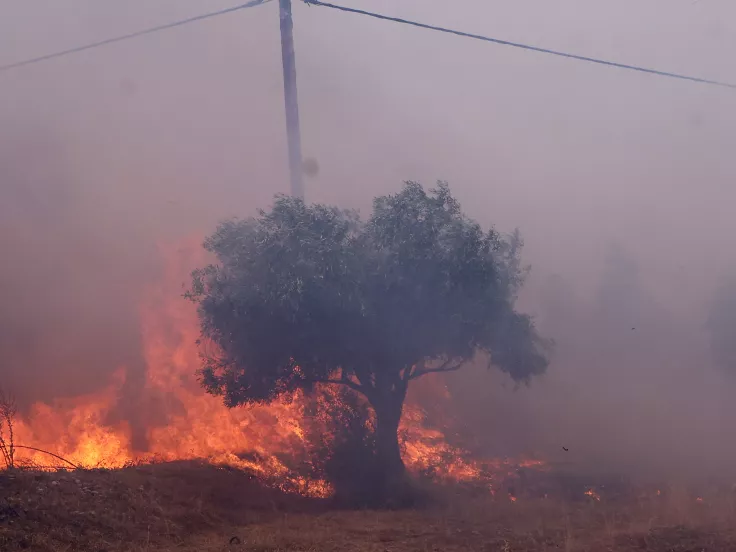 Πύρινα μέτωπα σε τέσσερις περιοχές – Σε εξέλιξη οι επιχειρήσεις κατάσβεσης