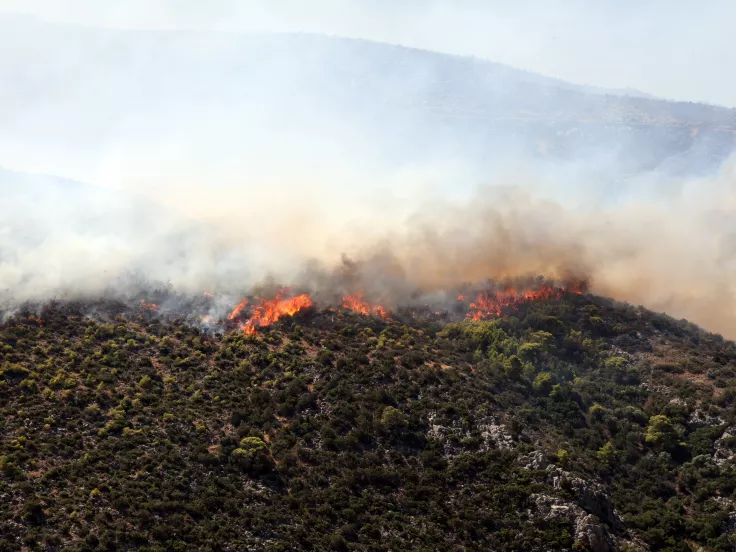 Φωτιά στη Βοιωτία: Στον εισαγγελέα οι δύο συλληφθέντες - Αναζητείται ιδιοκτήτης εταιρείας ανεμογεννητριών