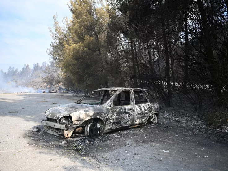 Σίβηρη Χαλκιδικής: «Σαρωτικό» το πέρασμα της φωτιάς - Ανυπολόγιστες καταστροφές (εικόνες)