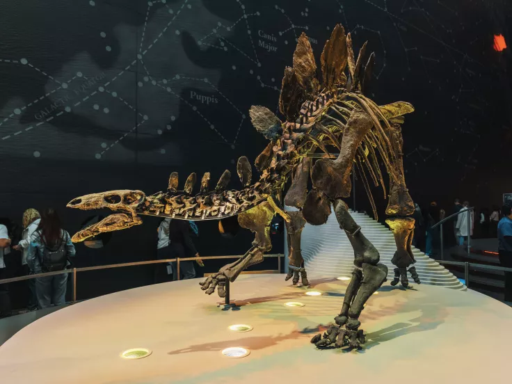  Η νέα θεωρία για το τέλος των δεινοσαύρων: Η ακραία θερμότητα που τους αφάνισε