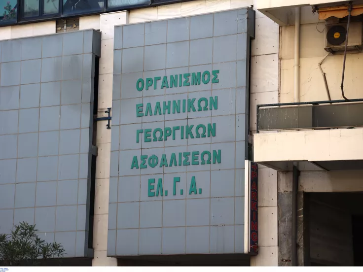 ελγα