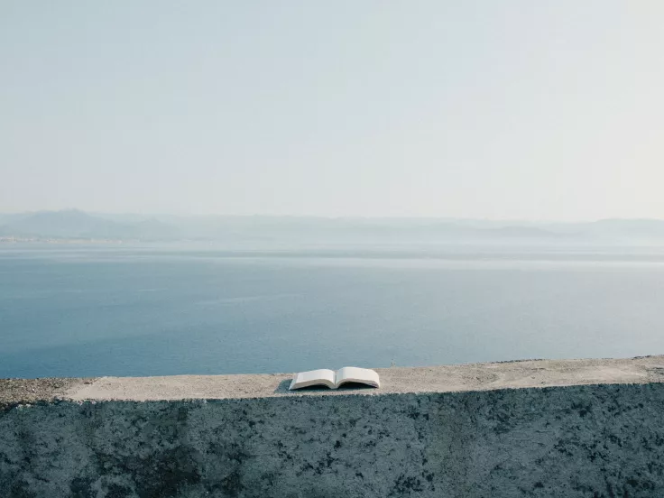 Τι σημαίνει η λέξη «απήγανος»