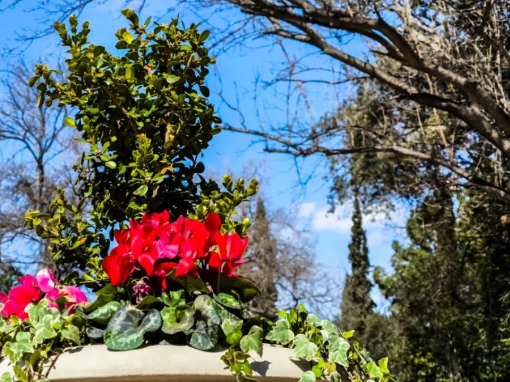 Ήπιος και Ανοιξιάτικος Καιρός για το Επόμενο Δεκαήμερο στην Ελλάδα