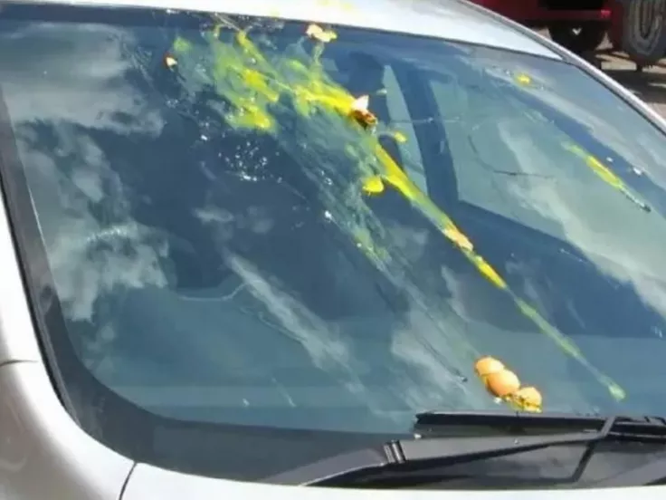 Νέα μέθοδος εξαπάτησης οδηγών: Πώς οι εγκληματίες χρησιμοποιούν αυγά για να κλέψουν αυτοκίνητα